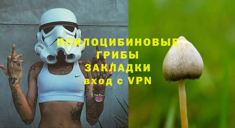 Галлюциногенные грибы MAGIC MUSHROOMS Бикин