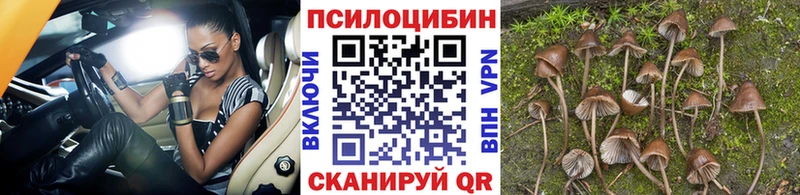 Псилоцибиновые грибы MAGIC MUSHROOMS  купить закладку  Бикин 